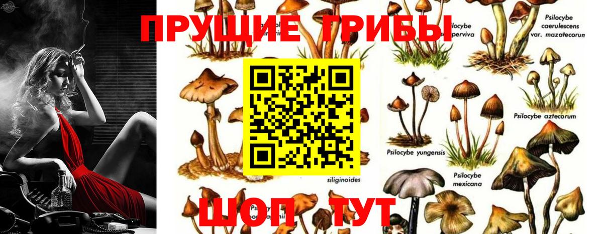 Псилоцибиновые грибы мухоморы  Вход с VPN  Егорьевск 